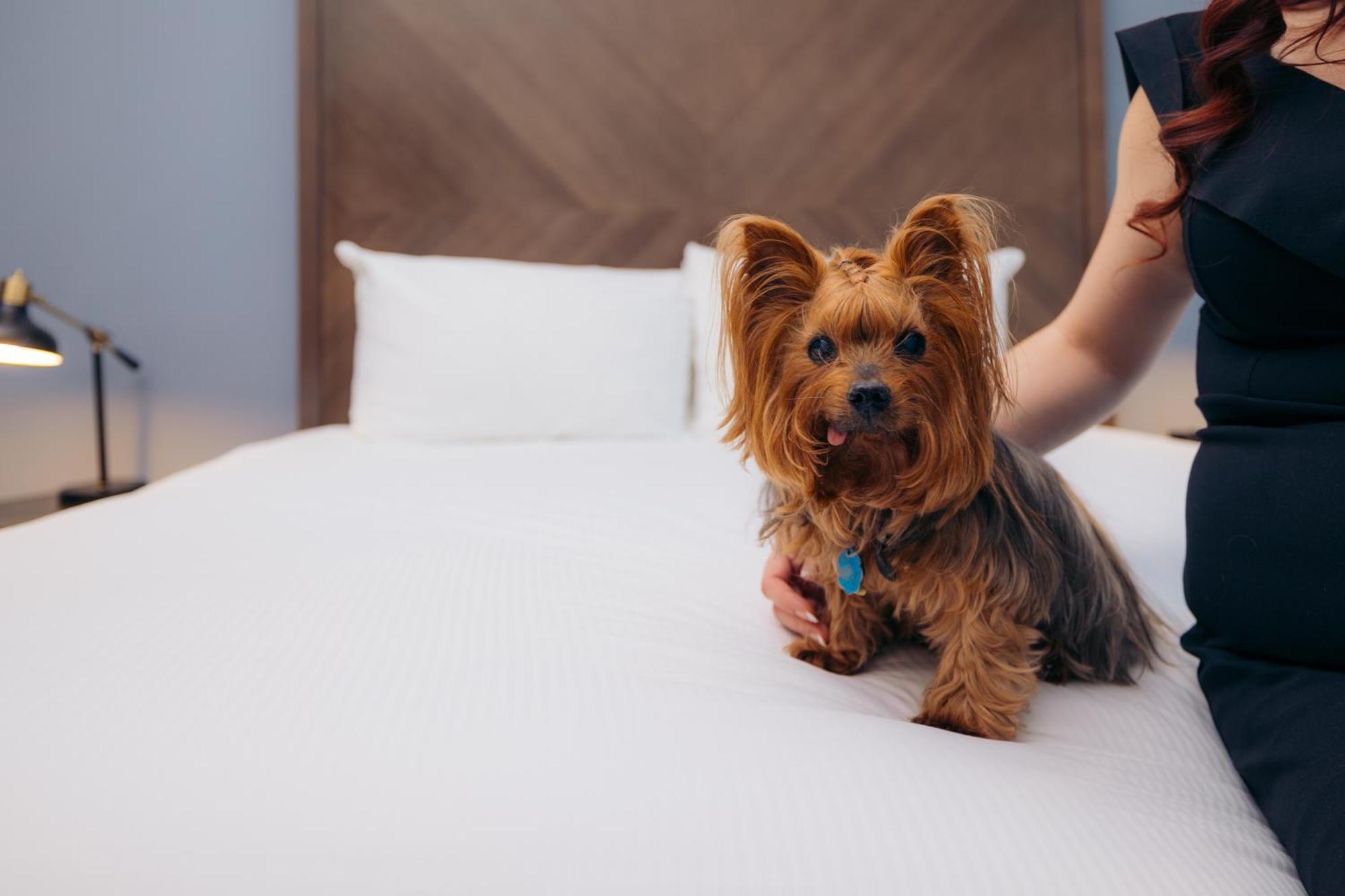 Hotel Winters Bagian luar foto
